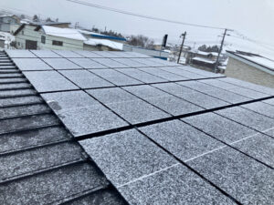 東置賜郡　東様